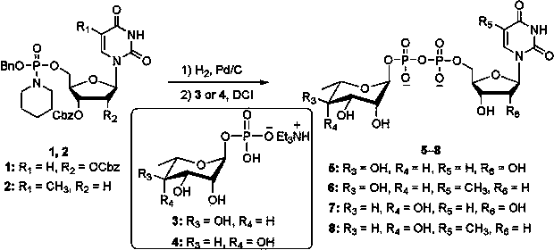 Synthesis method of nucleoside diphosphate 6-deoxy-L-pyranose