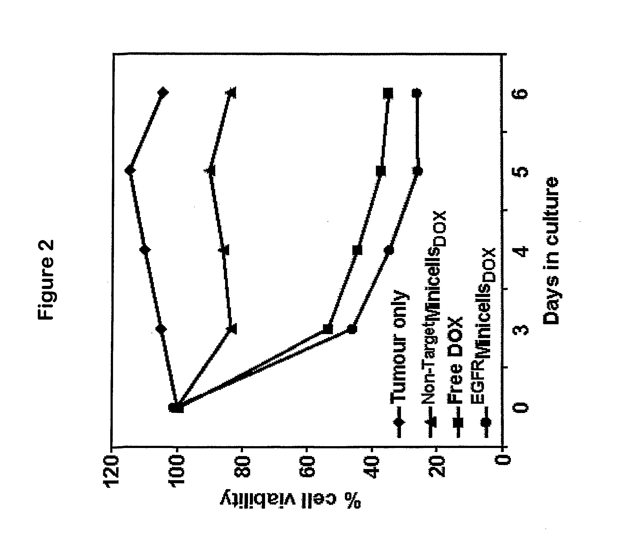 Methods for targeted in vitro and in vivo drug delivery to mammalian cells via bacterially derived intact minicells