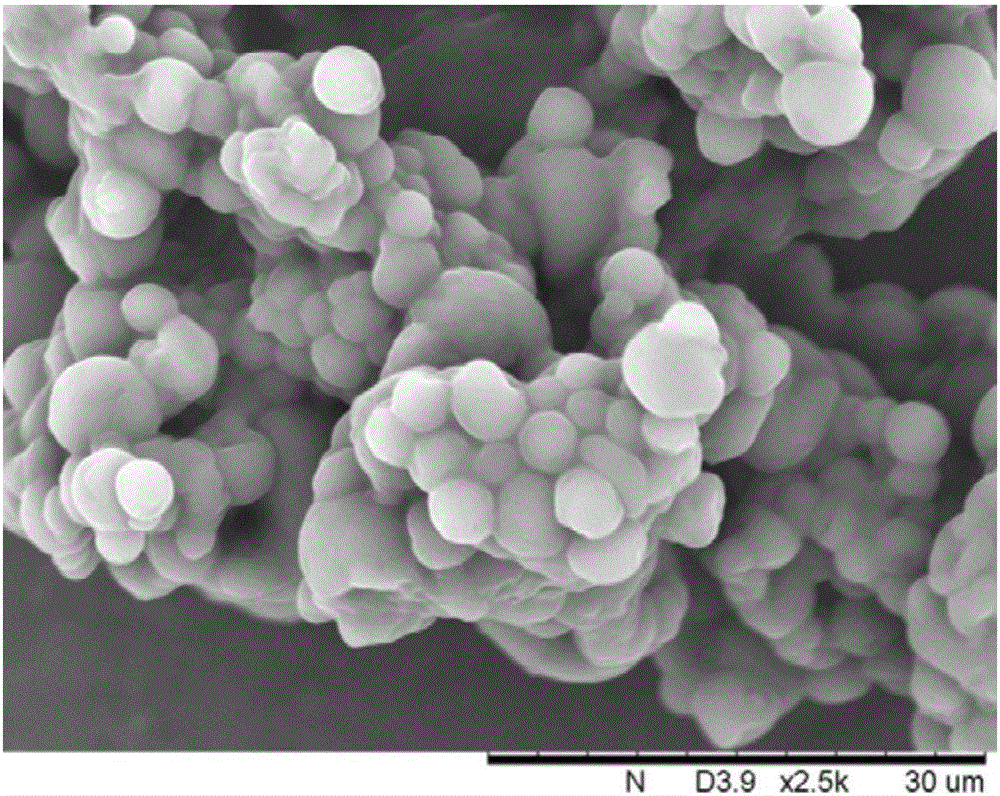 Polyunsaturated oil powder rich in phytosterol and preparation method thereof
