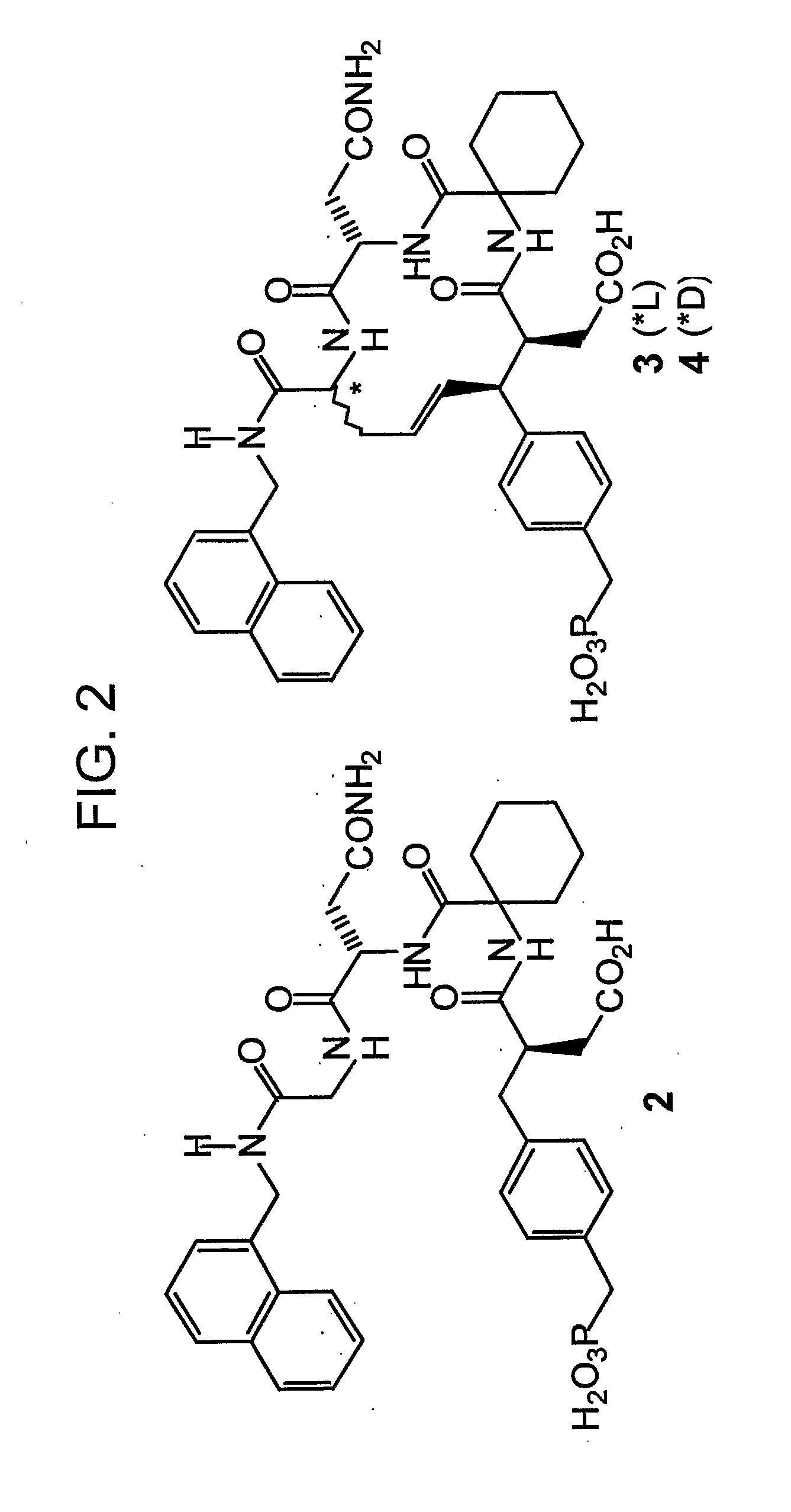 Macrocyclic  Sh2 Domain Binding Inhibitors