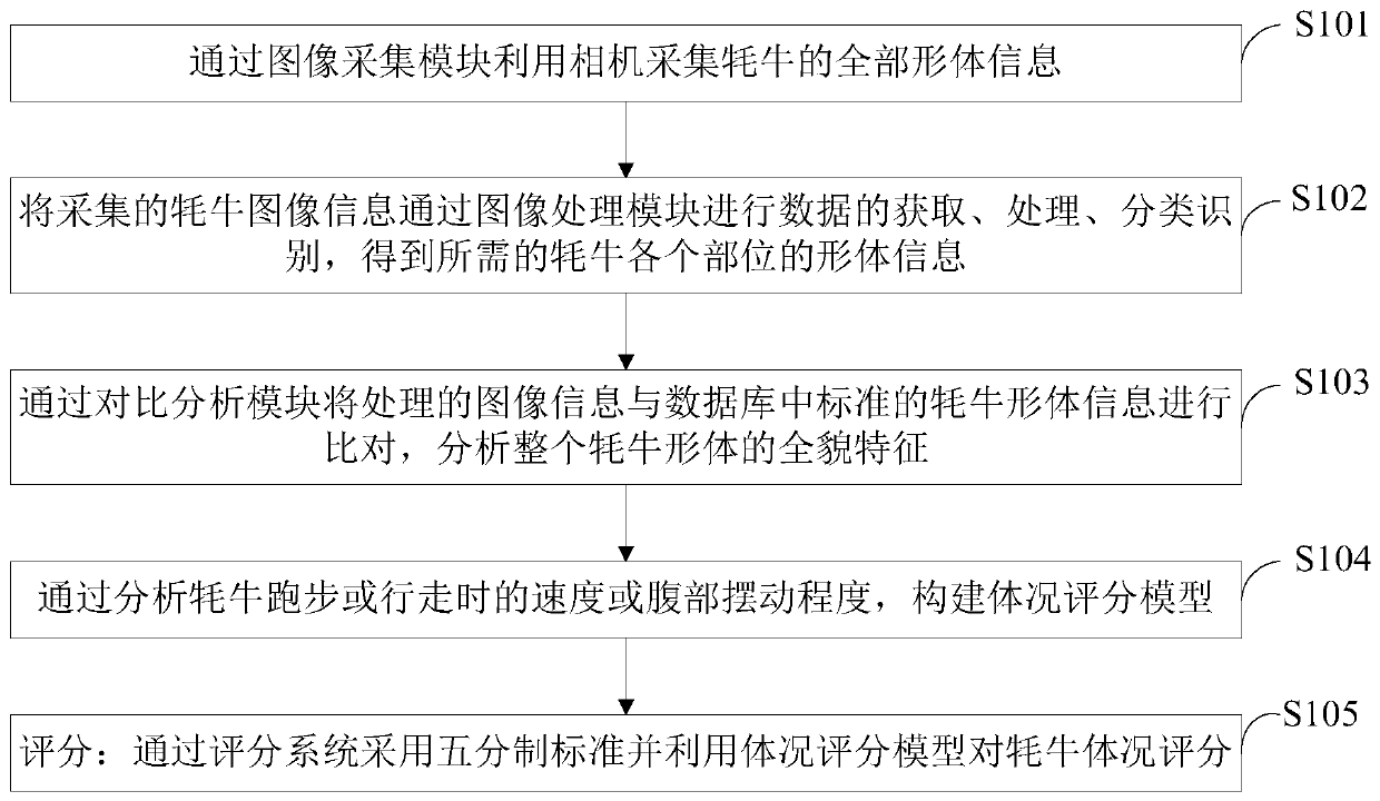 Information processing method and system in yak grazing management based on body condition scoring