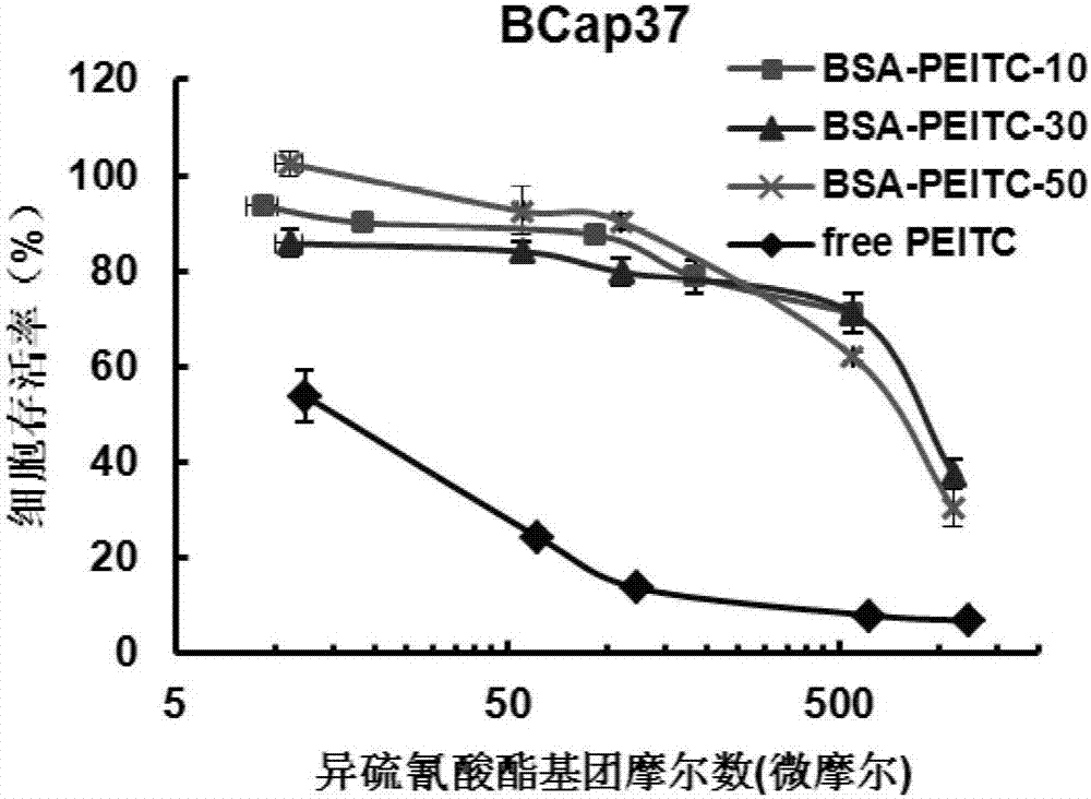 Protein-ITC (isothiocyanate) bonded substance and application thereof