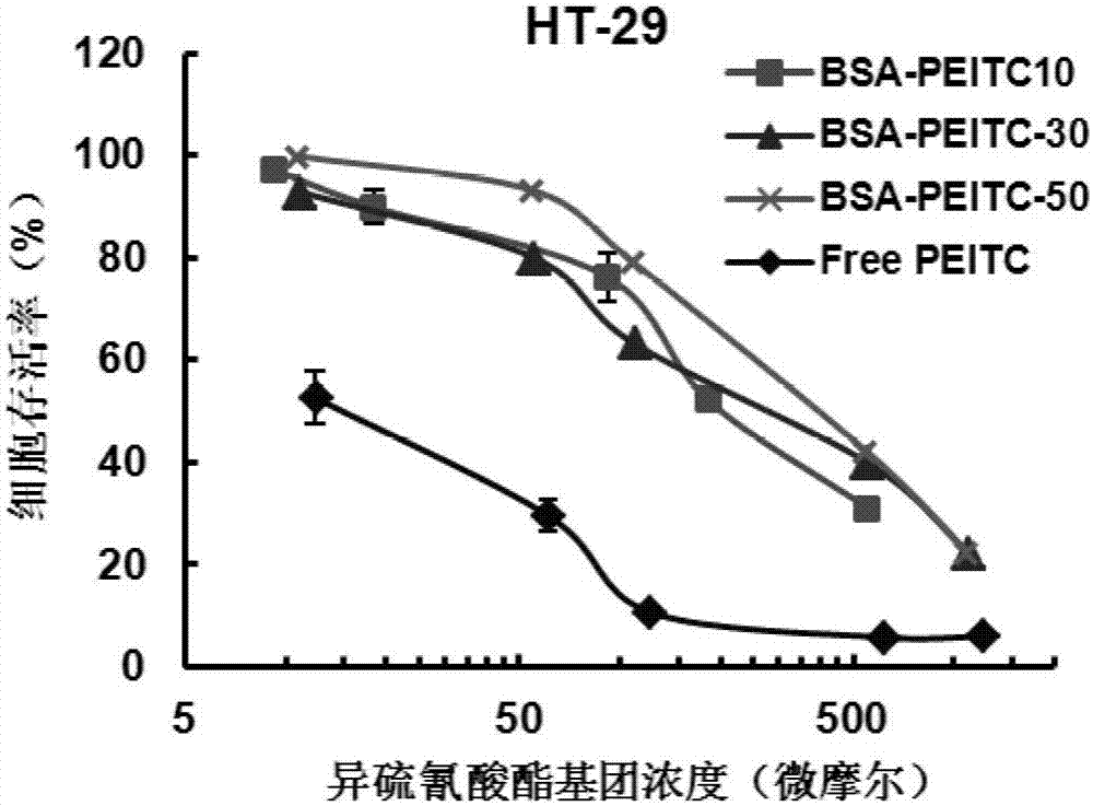 Protein-ITC (isothiocyanate) bonded substance and application thereof