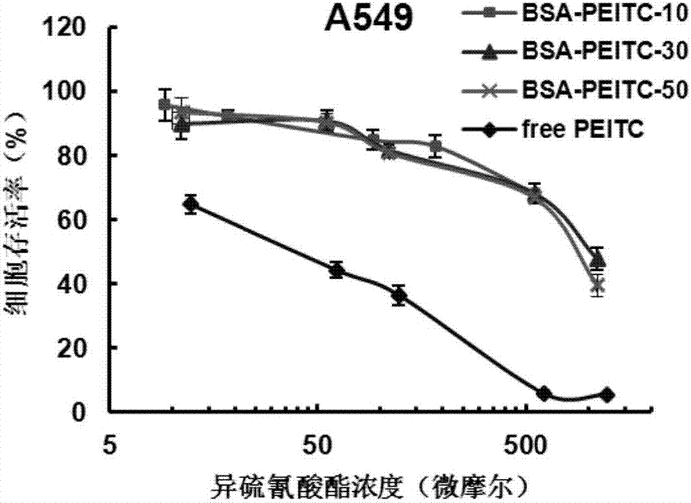 Protein-ITC (isothiocyanate) bonded substance and application thereof