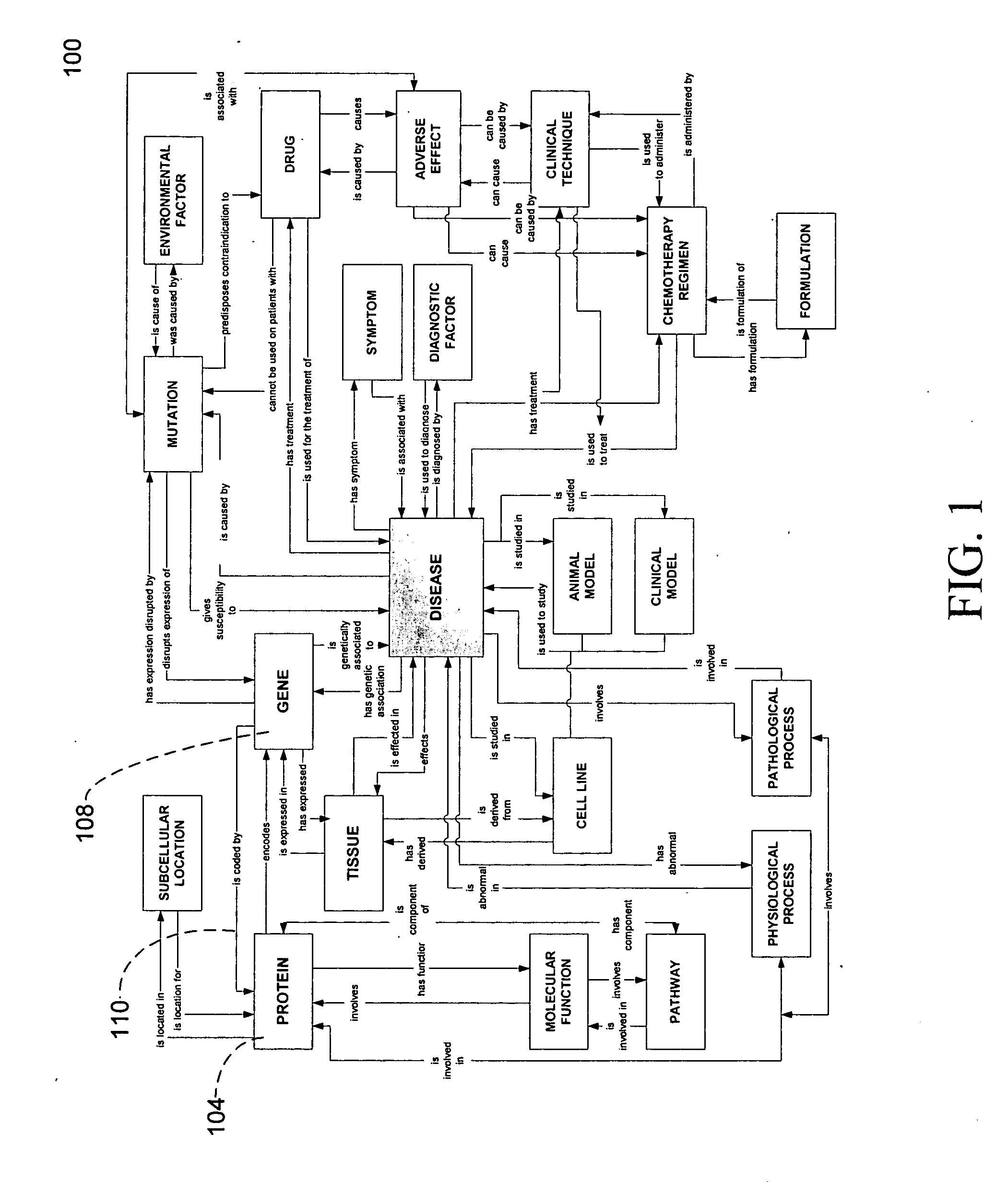 System and method for curating one or more multi-relational ontologies