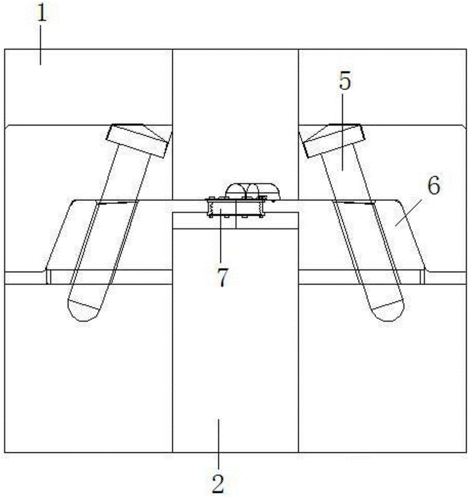 A mold for producing precision plastic parts