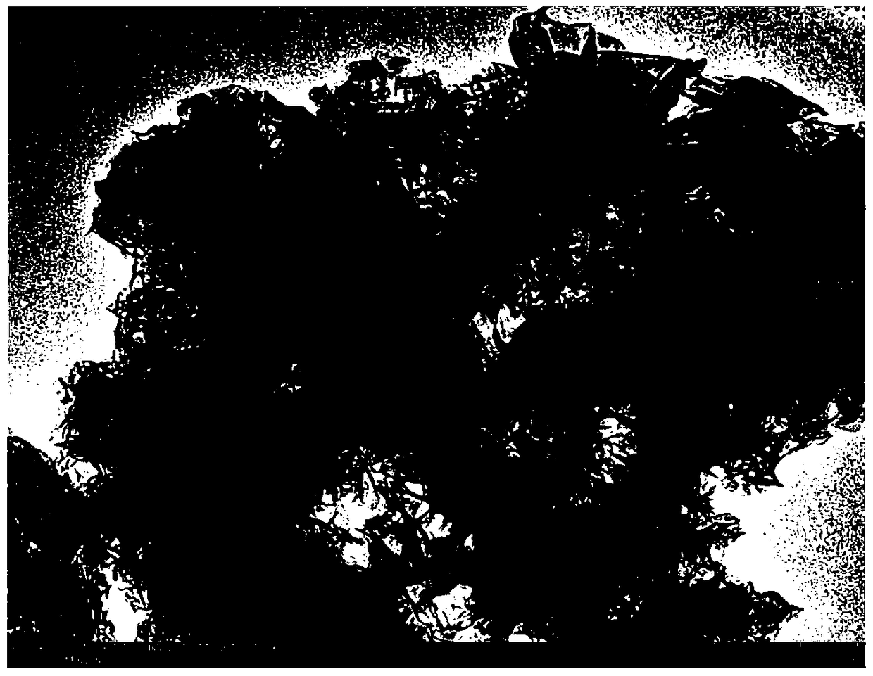 Tremella-like fe-ni double metal hydroxide, oxygen evolution electrode and its preparation method and application