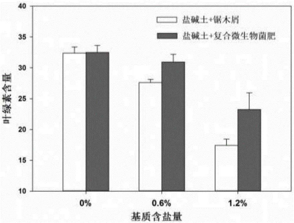 Method for enhancing salt resistance of turf grass by using halophiles