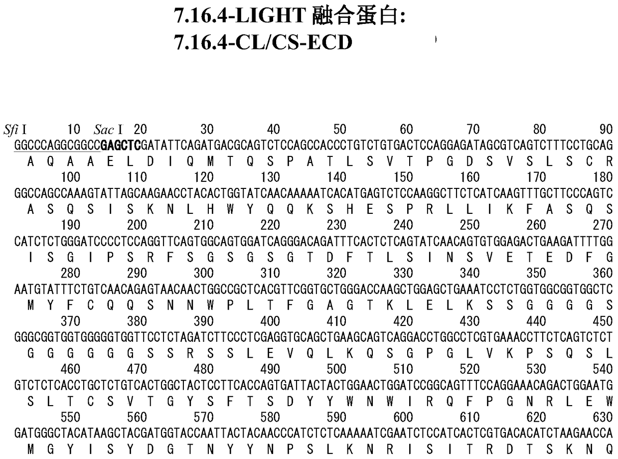 light-anti-tumor antigen antibodies for the prevention and treatment of primary and metastatic cancers