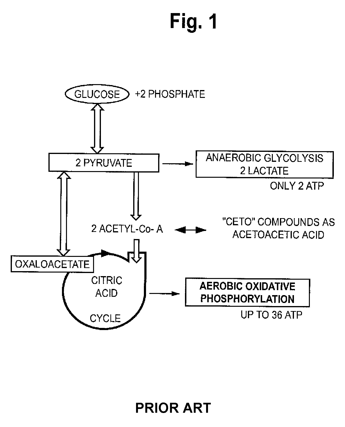 Automated methods and systems for providing platelet concentrates with reduced residual plasma volumes and storage media for such platelet concentrates
