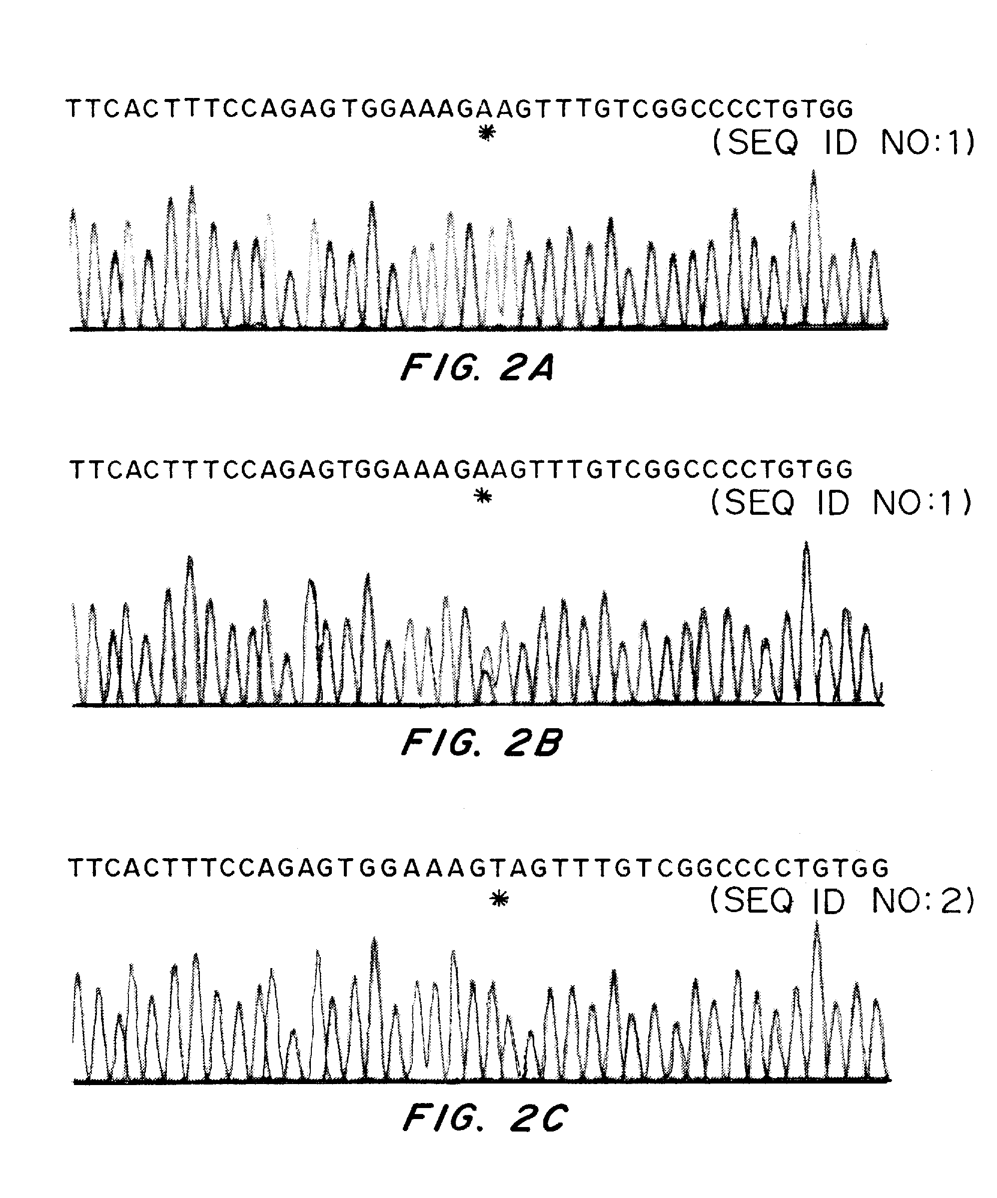 Methods for identification of alport syndrome