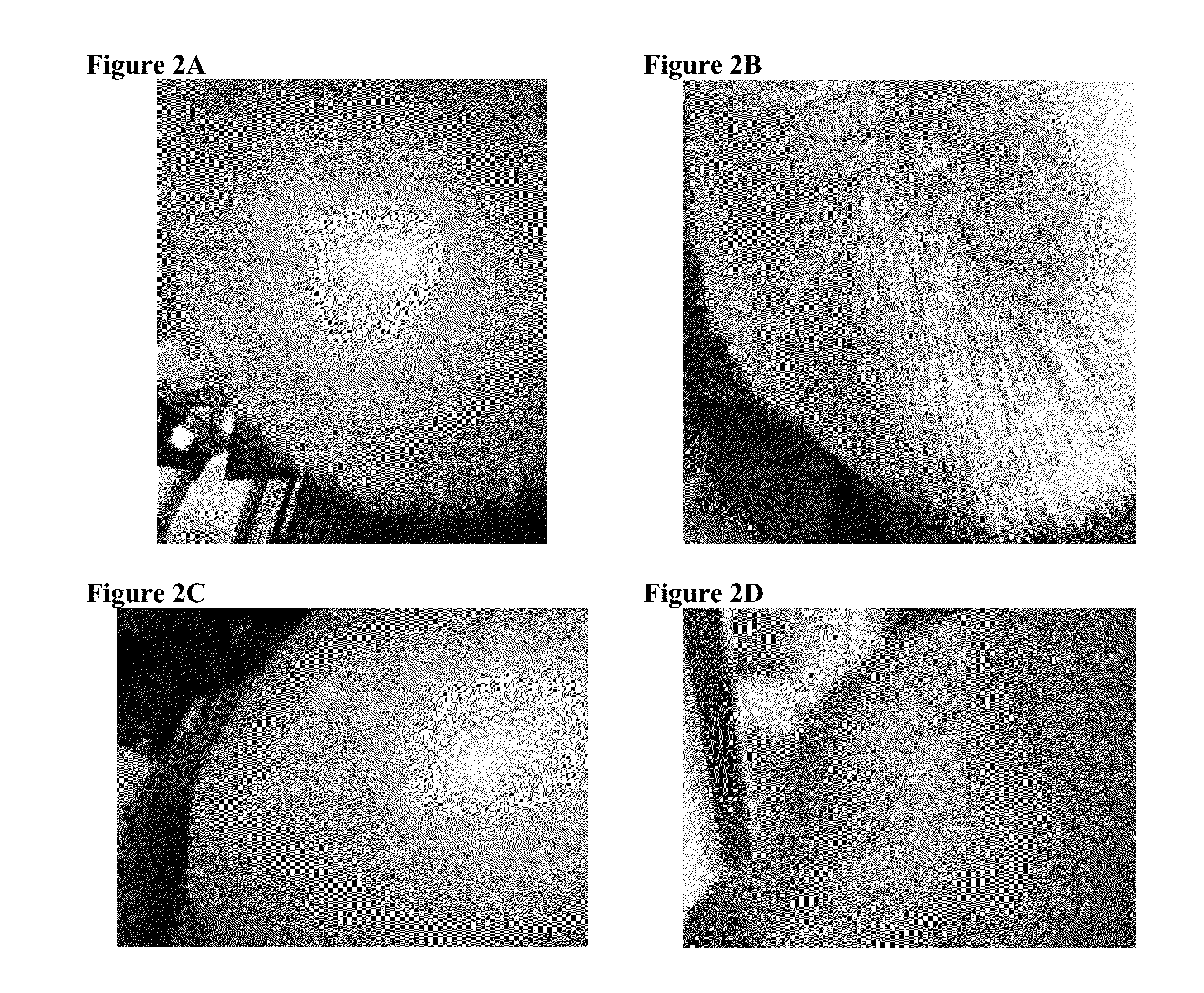Methods of Producing Compounds That Stimulate Hair Regrowth, Topical Formulations, and Methods of Use