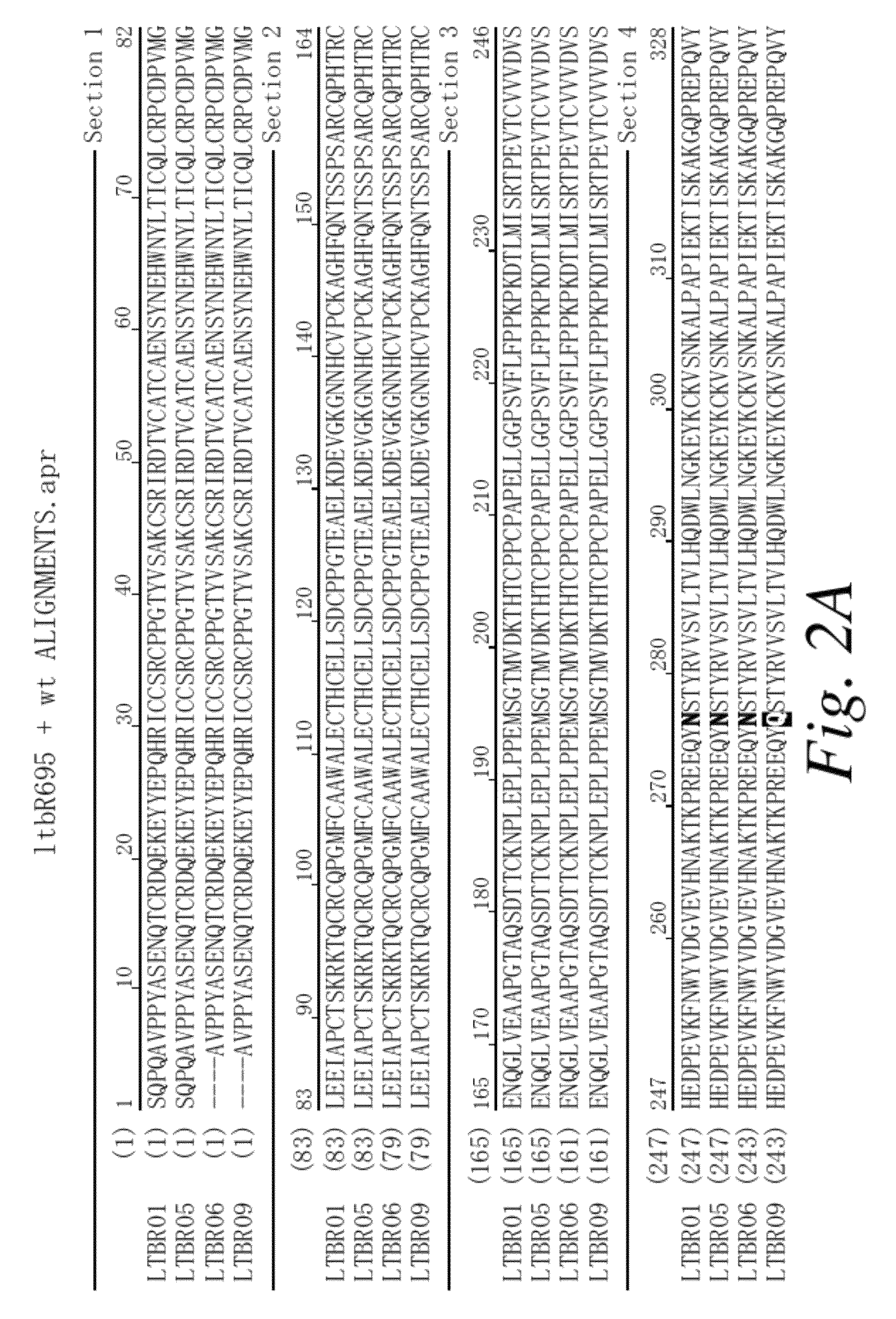 Compositions comprising variant LT-B-R-IG fusion proteins