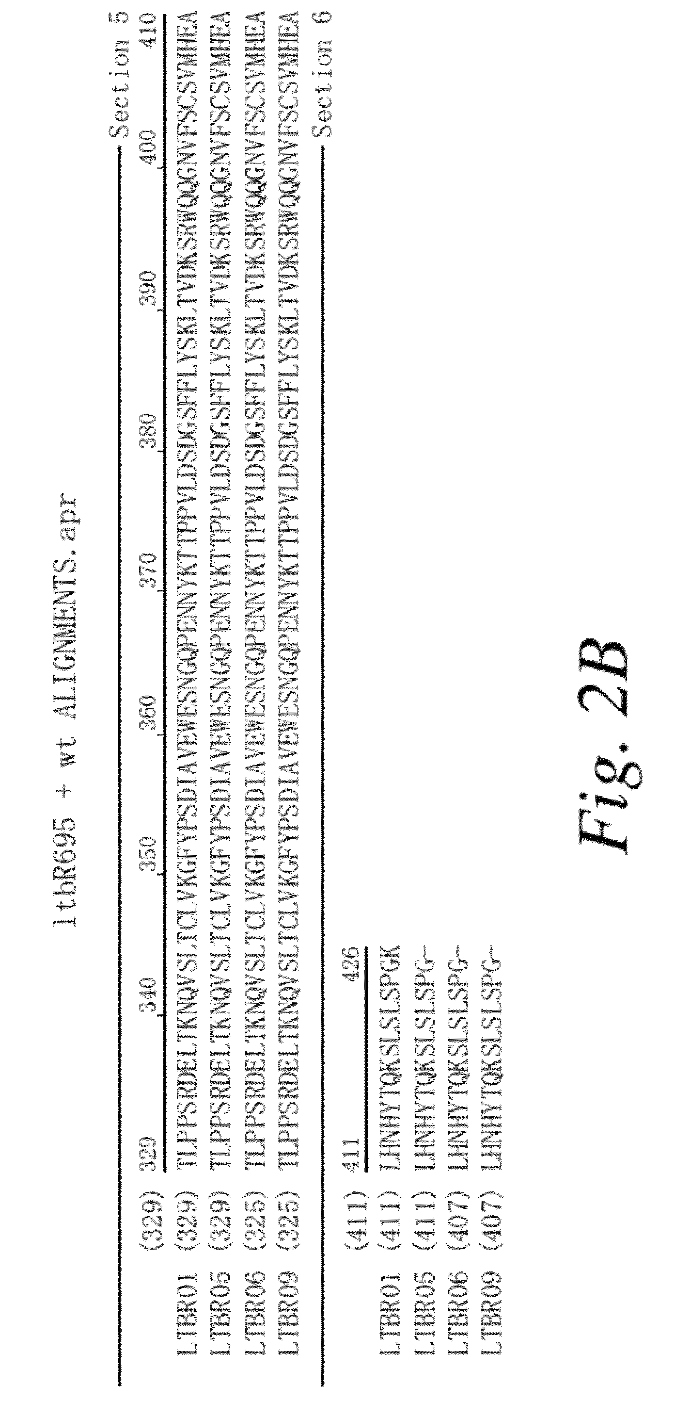 Compositions comprising variant LT-B-R-IG fusion proteins