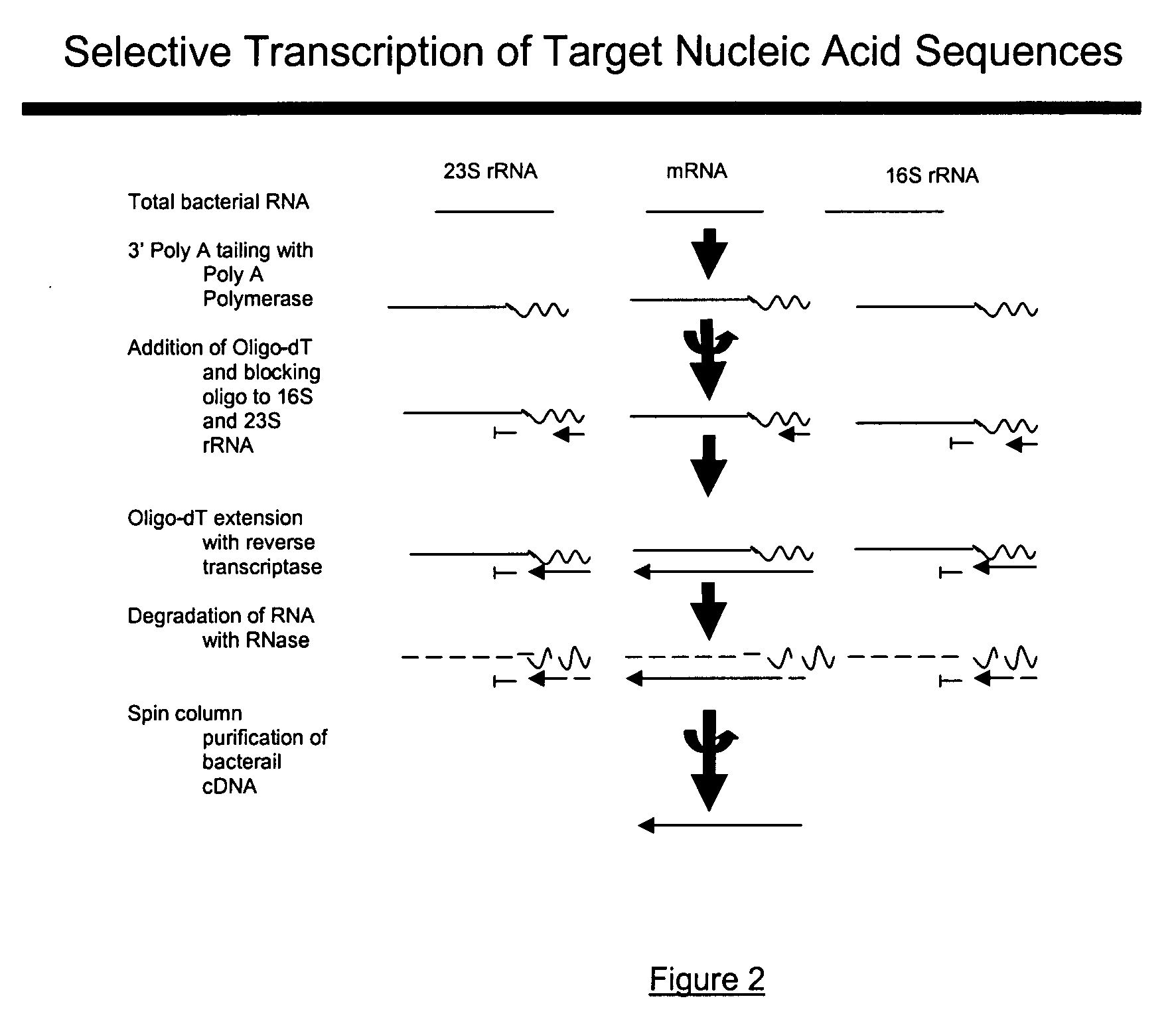 Methods and kits for negative selection of desired nucleic acid sequences