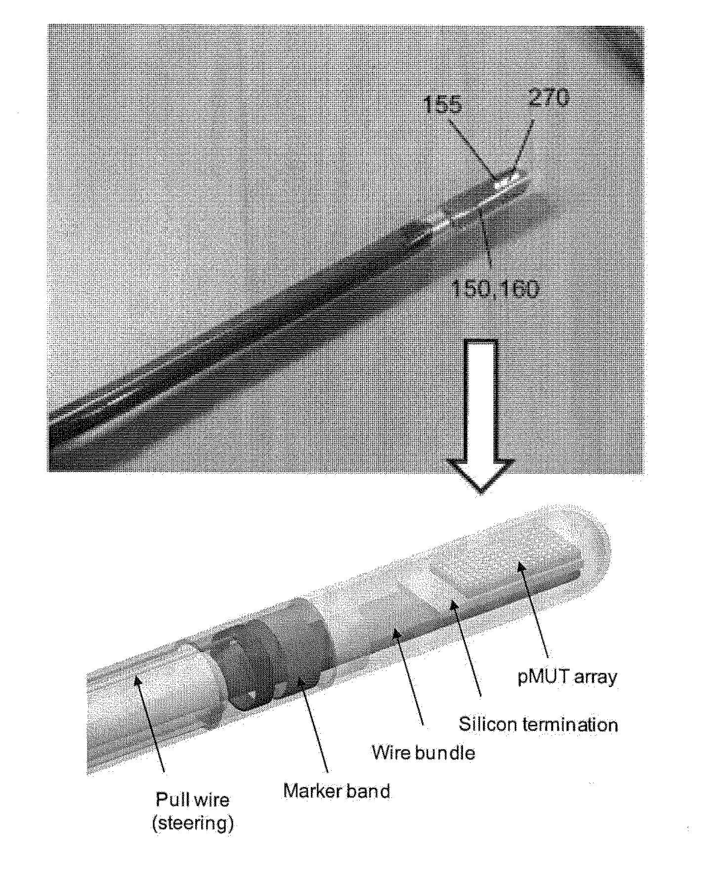 Ultrasound device, and associated cable assembly