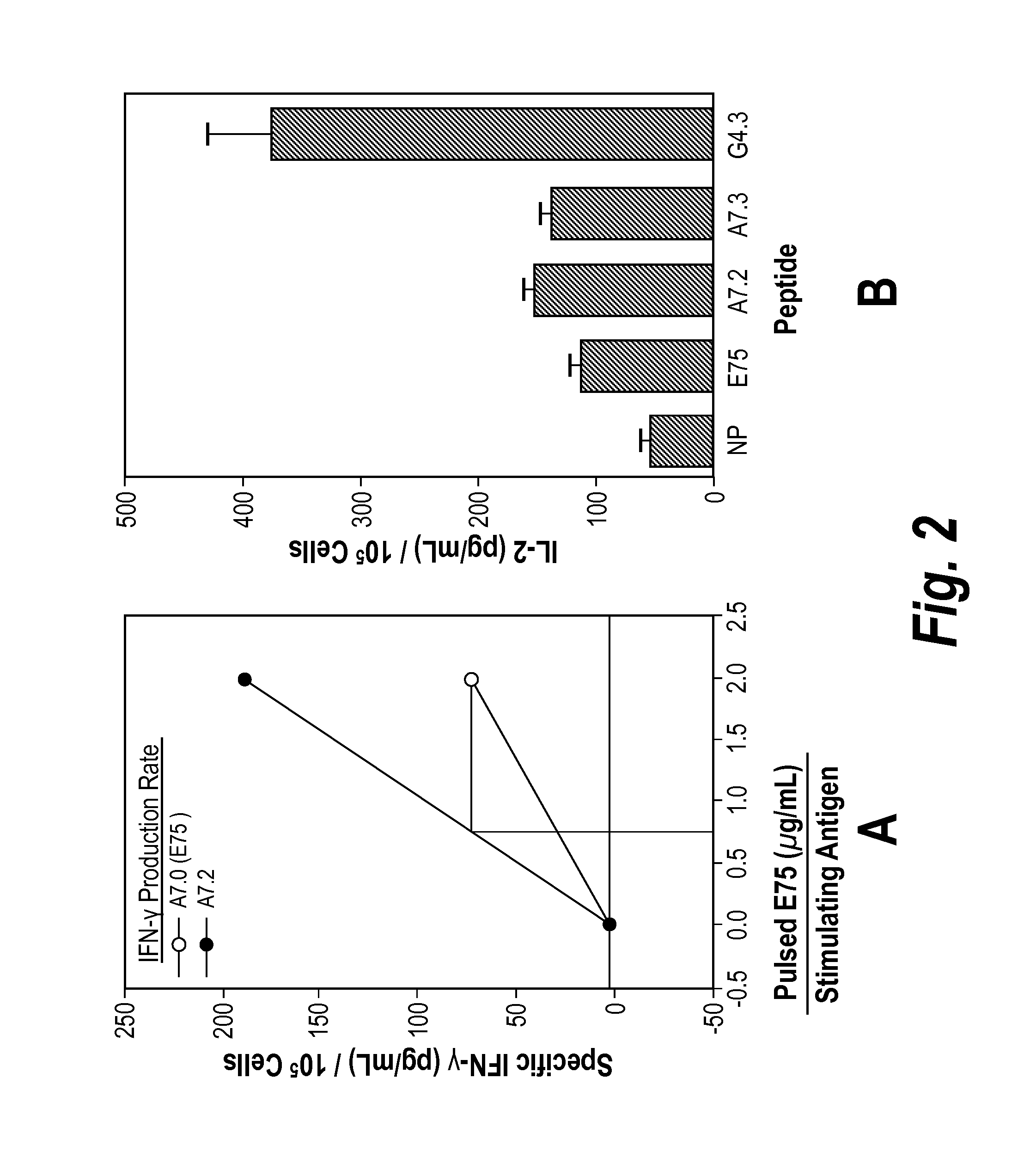 Controlled modulation of amino acid side chain length of peptide antigens