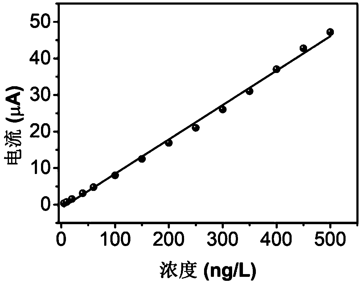 Detection method of 2-methyl isoborneol in aquatic products