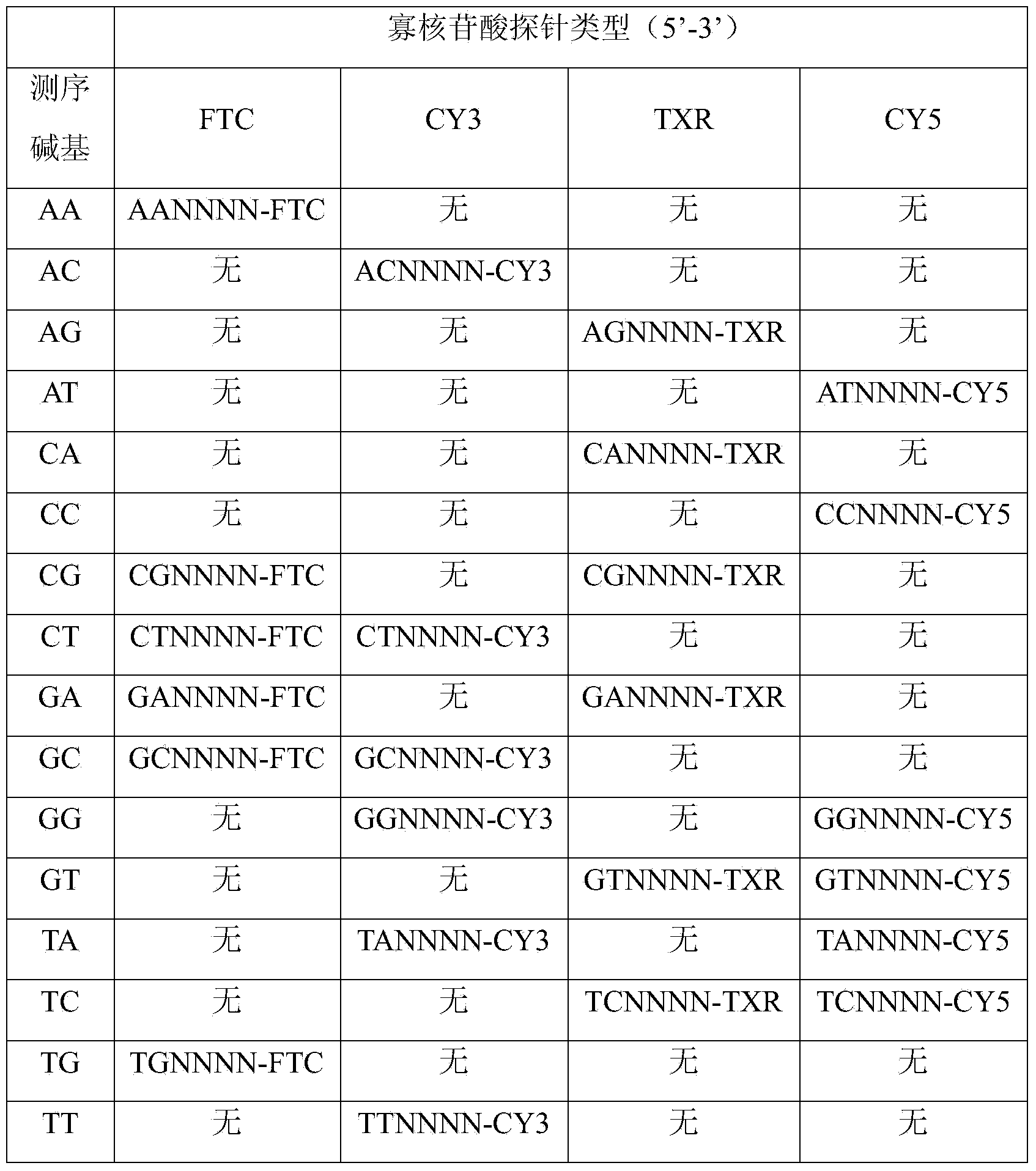 Connected sequencing method for DNA by coupling and coding two rounds of signals