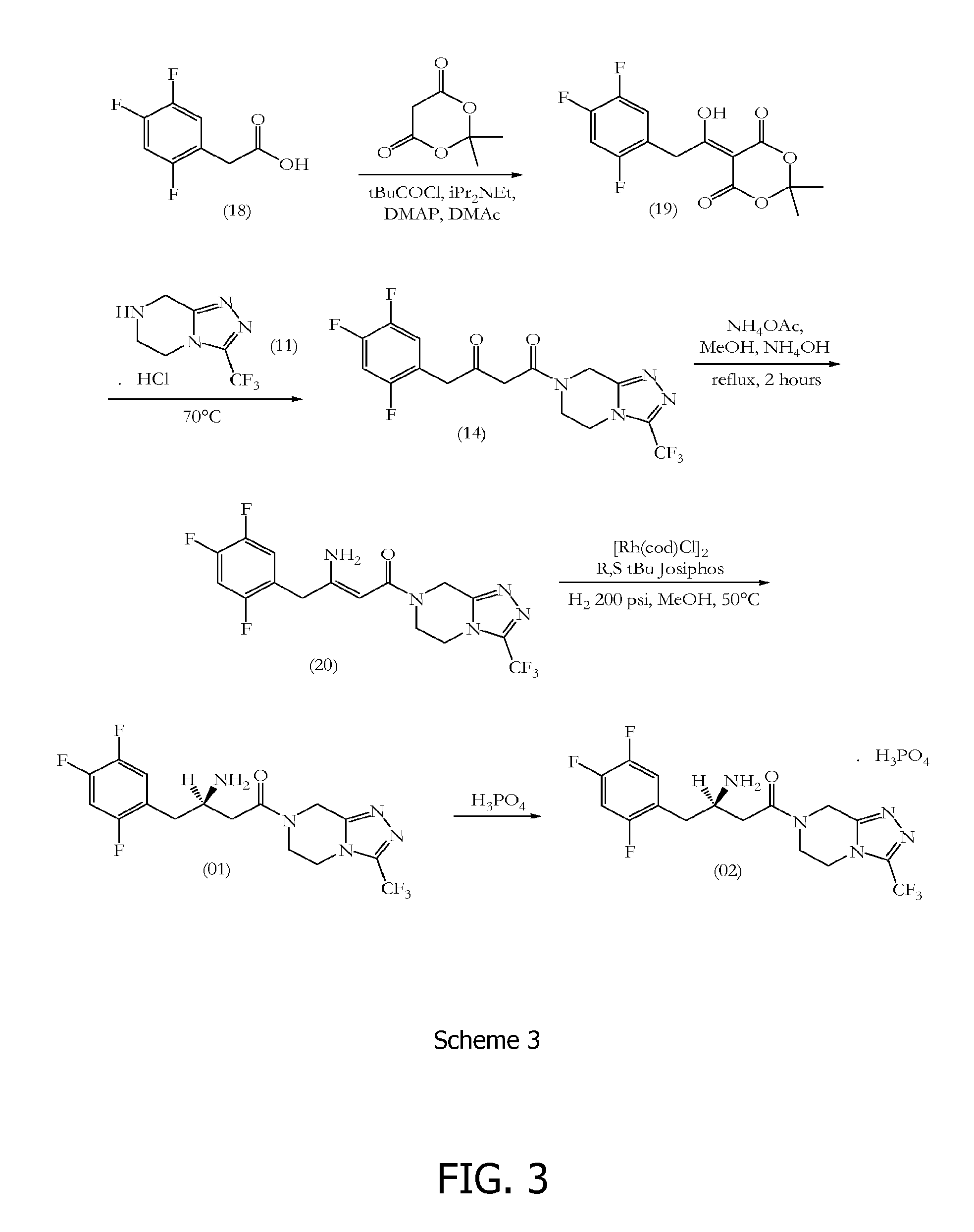 Sitagliptin synthesis
