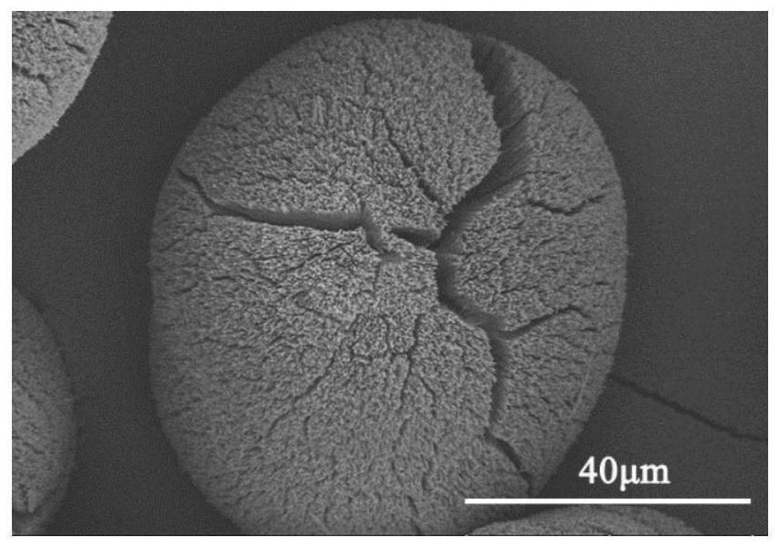 Large-size sea urchin spherical magnesium carbonate trihydrate and porous magnesium oxide assembled by nanorod arrays and preparation method thereof