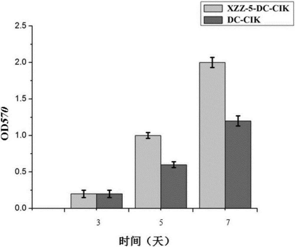 Heterologous expression of polypeptide XZZ-5 and application of polypeptide XZZ-5 to enhancement of tumor killing activity of CIK (Cytokine Induced Killer) cells