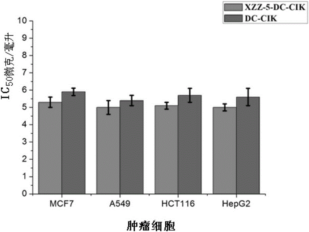Heterologous expression of polypeptide XZZ-5 and application of polypeptide XZZ-5 to enhancement of tumor killing activity of CIK (Cytokine Induced Killer) cells