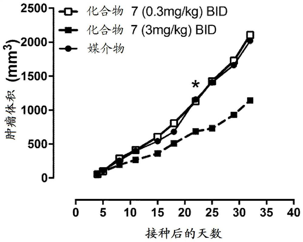 Thiocarbamate derivatives as a2a inhibitors, pharmaceutical composition thereof and combinations with anticancer agents