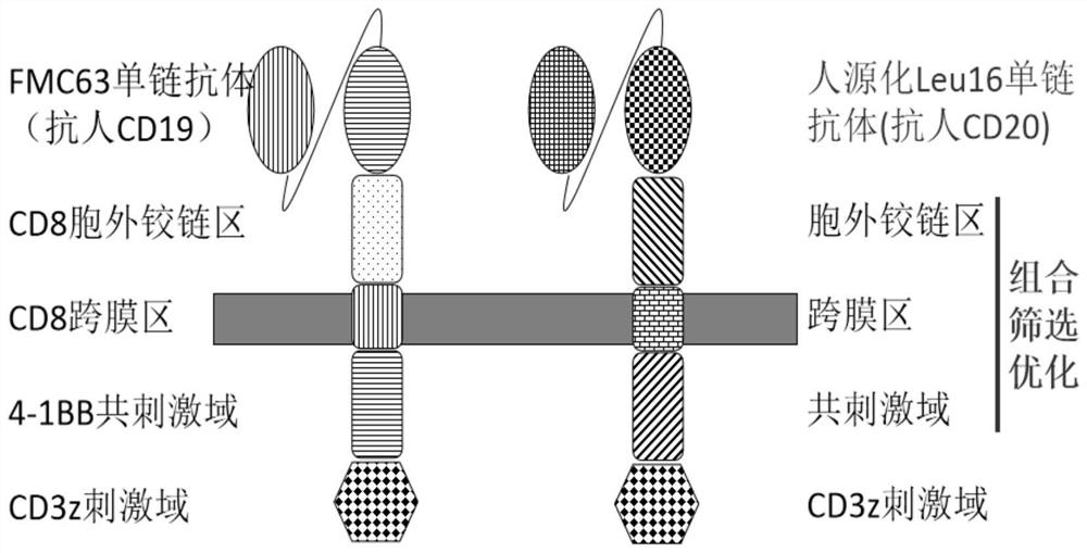 Chimeric antigen receptor, construction method thereof and application of chimeric antigen receptor