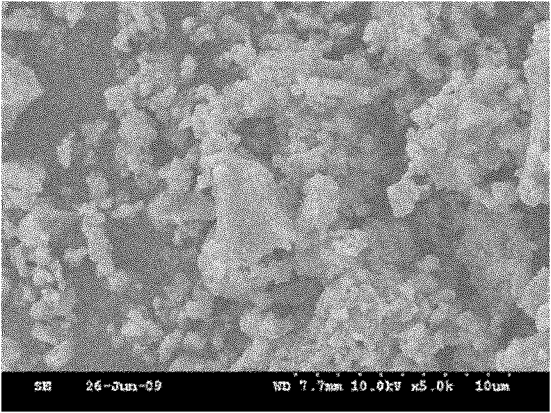 Root apex filling material and preparation method thereof