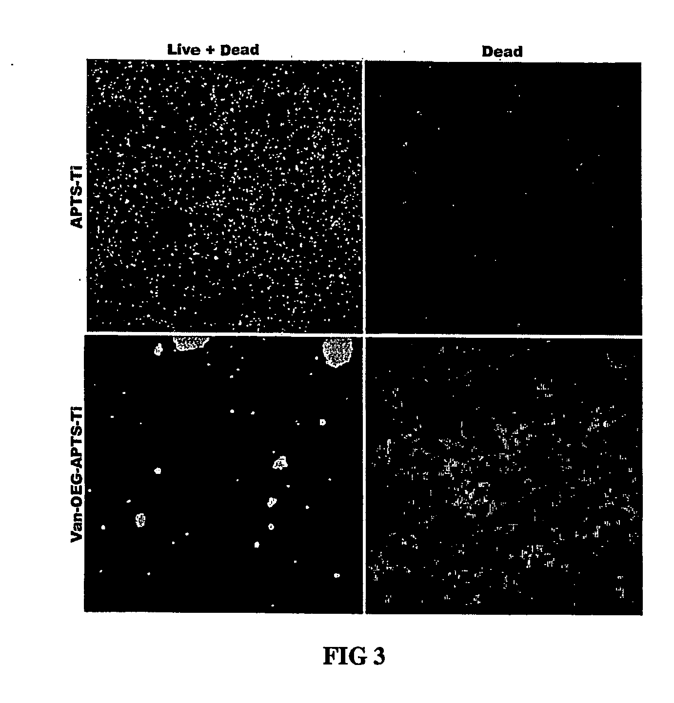 Implants with attached silylated therapeutic agents