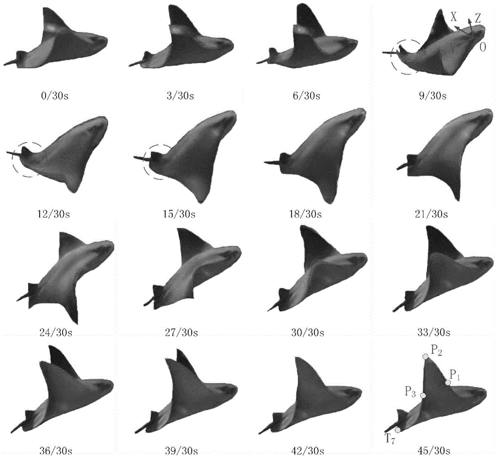 A method for realizing the rapid and large pitch angle change motion of a pectoral fin flapping robotic fish