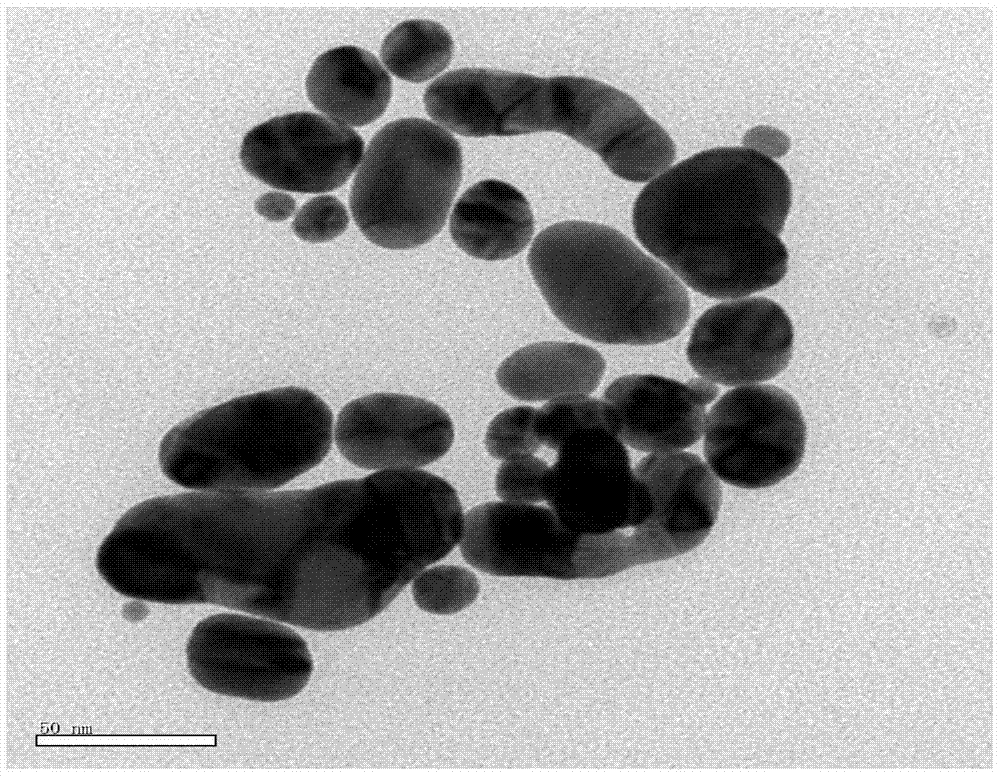 A controllable preparation method of polysaccharide derivative-induced gold nanoparticles