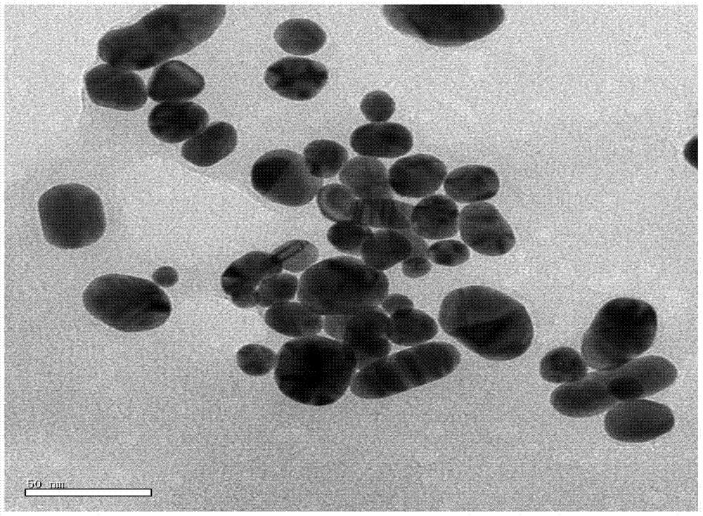 A controllable preparation method of polysaccharide derivative-induced gold nanoparticles