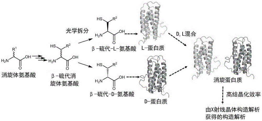 Method for producing d-form or l-form amino acid derivative having thiol group