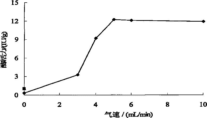 Method for improving enzymatic activity and utilization rate of immobilized enzymes in constant magnetic filed three-phase fluidized bed