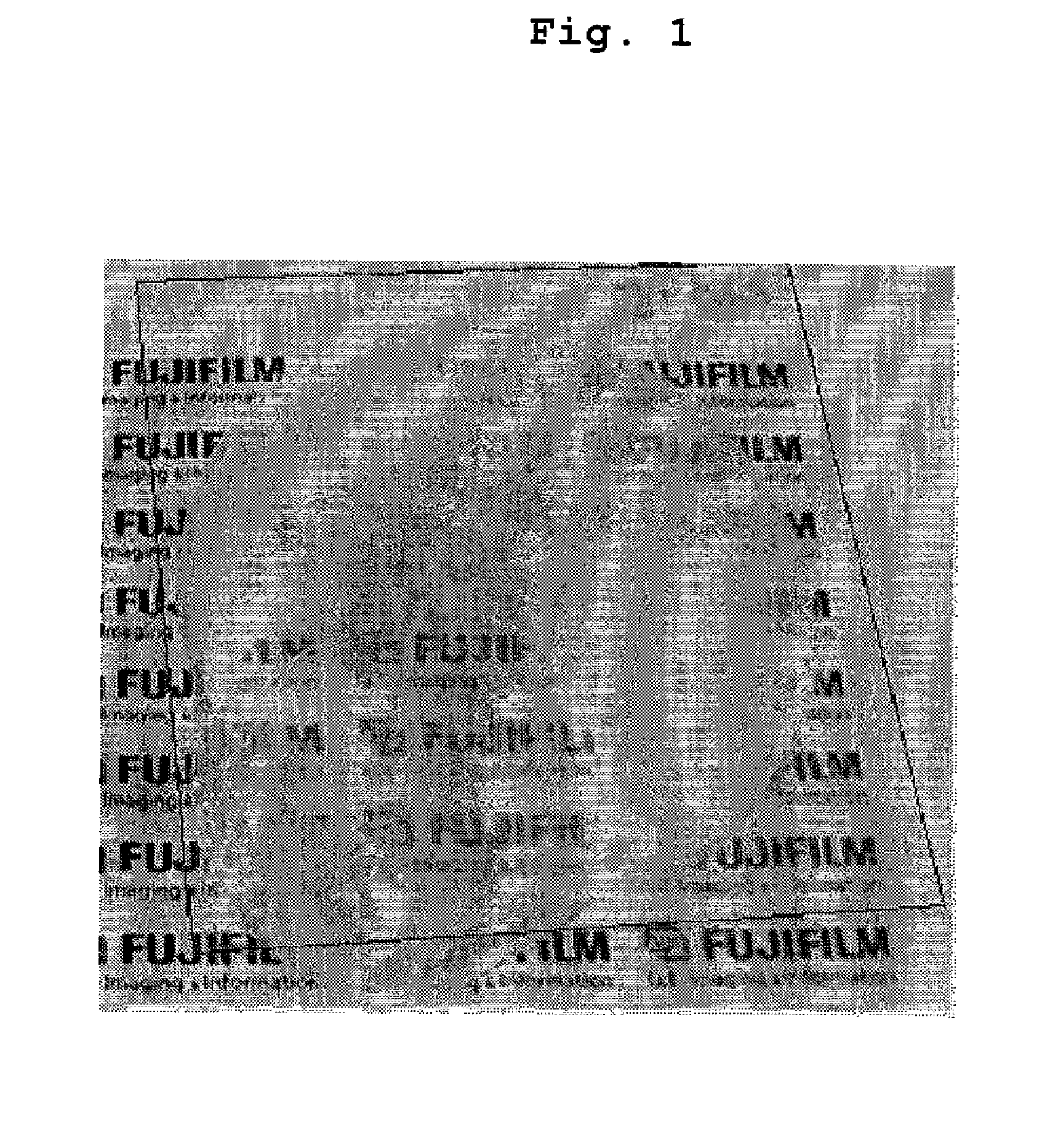 Hydrophilic member and process for producing the same