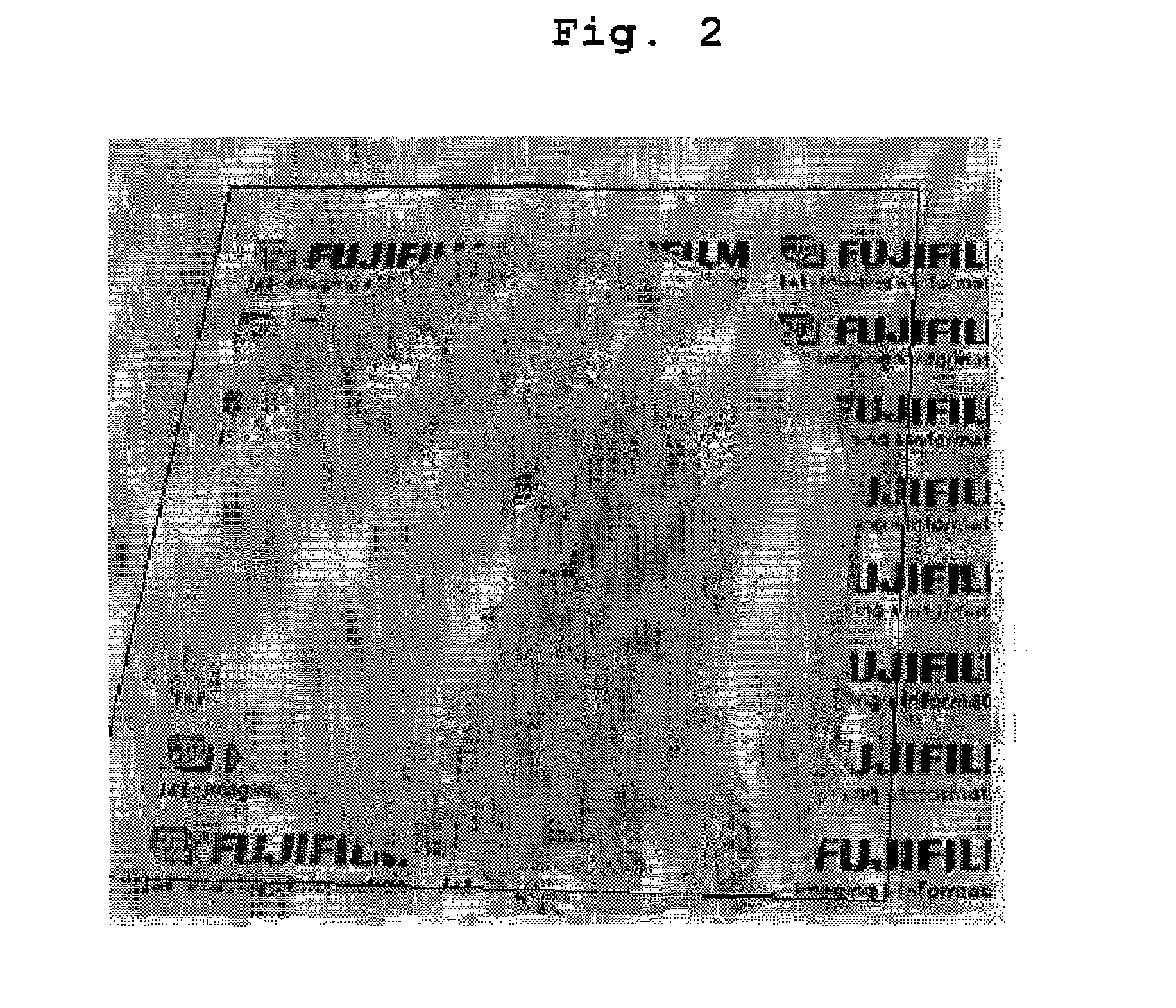 Hydrophilic member and process for producing the same