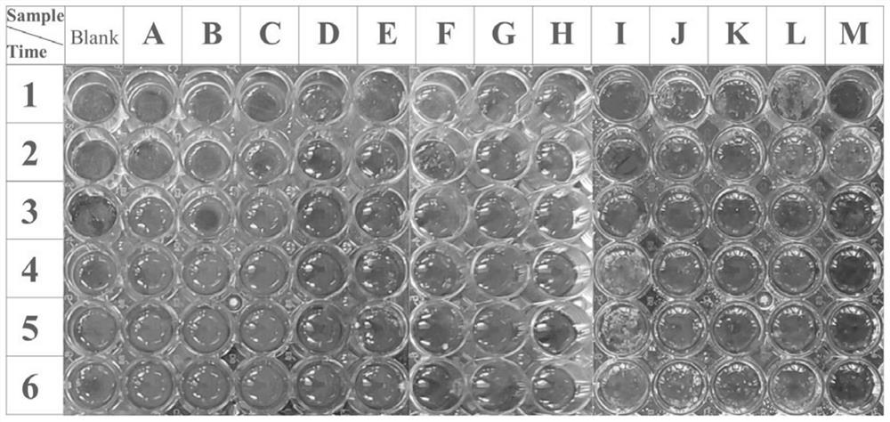 Furanone-based amino acid compound, preparation method thereof and application of furanone-based amino acid compound as coagulant drug