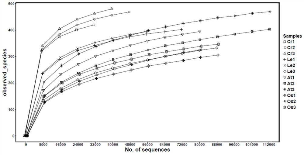 Method for analyzing plant endophytic bacteria flora by primers targeting V5V6 region