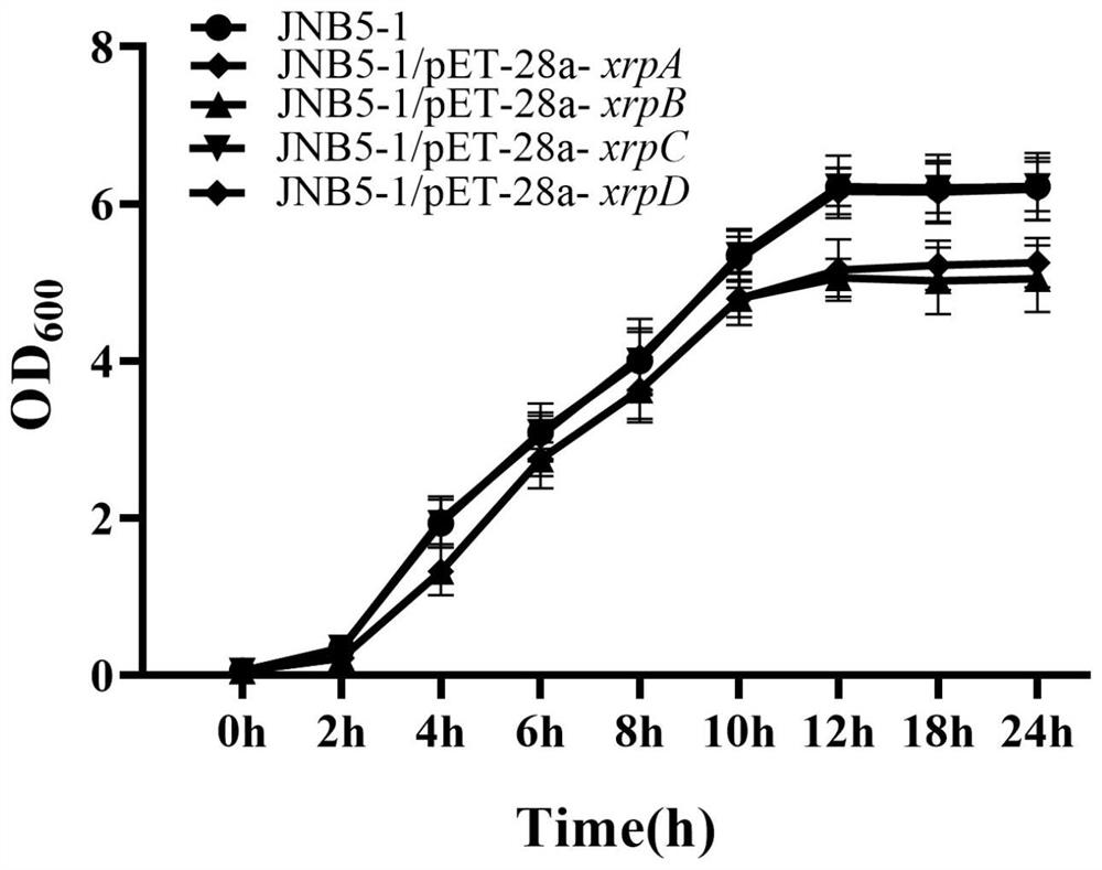 A method for improving the ability of Serratia marcescens to resist acid stress