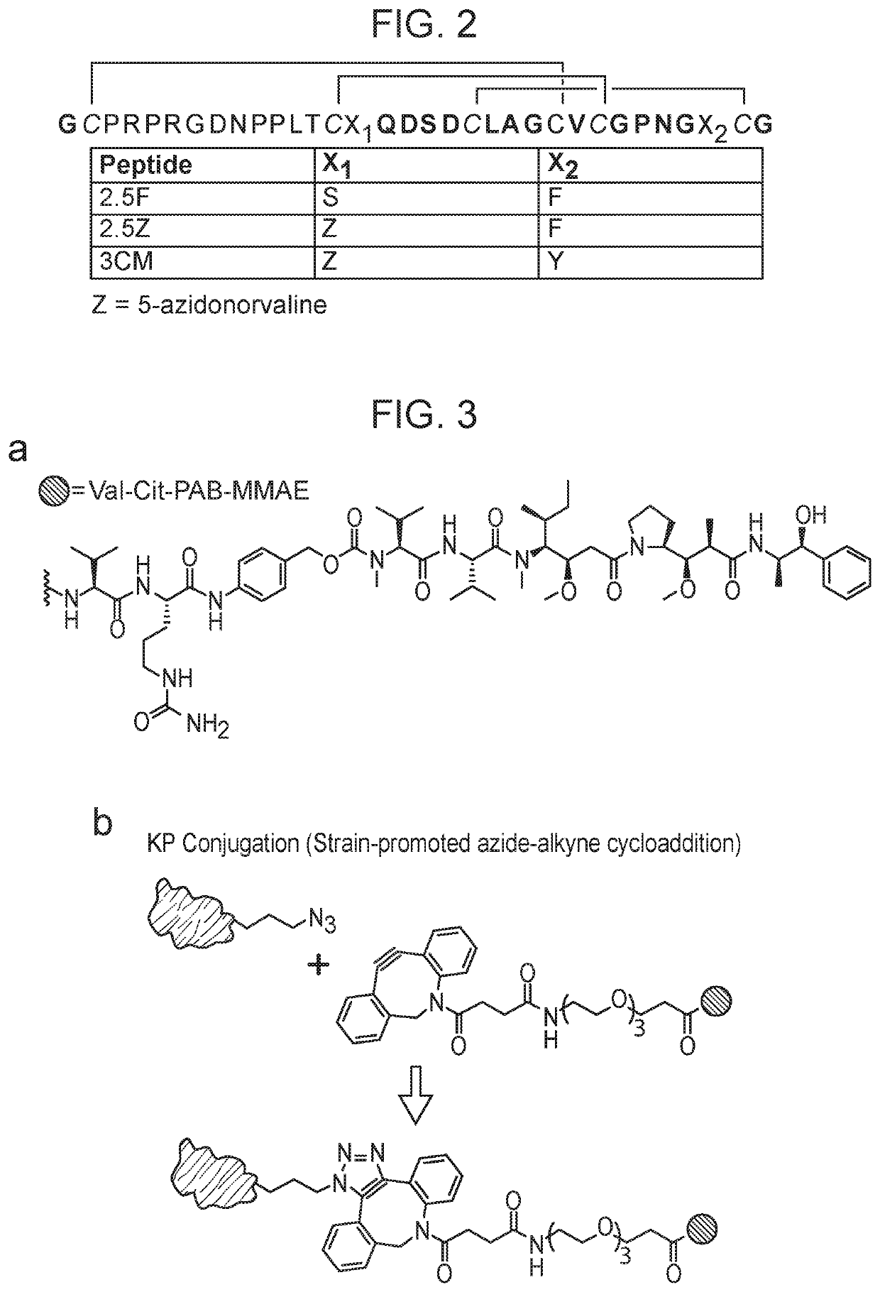 Drug conjugates and methods of using same