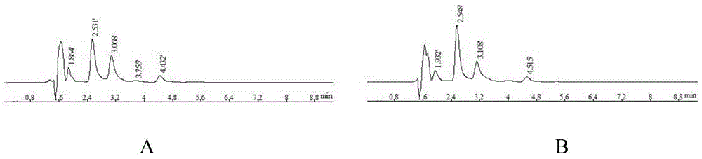 A kind of camptothecin nano gel