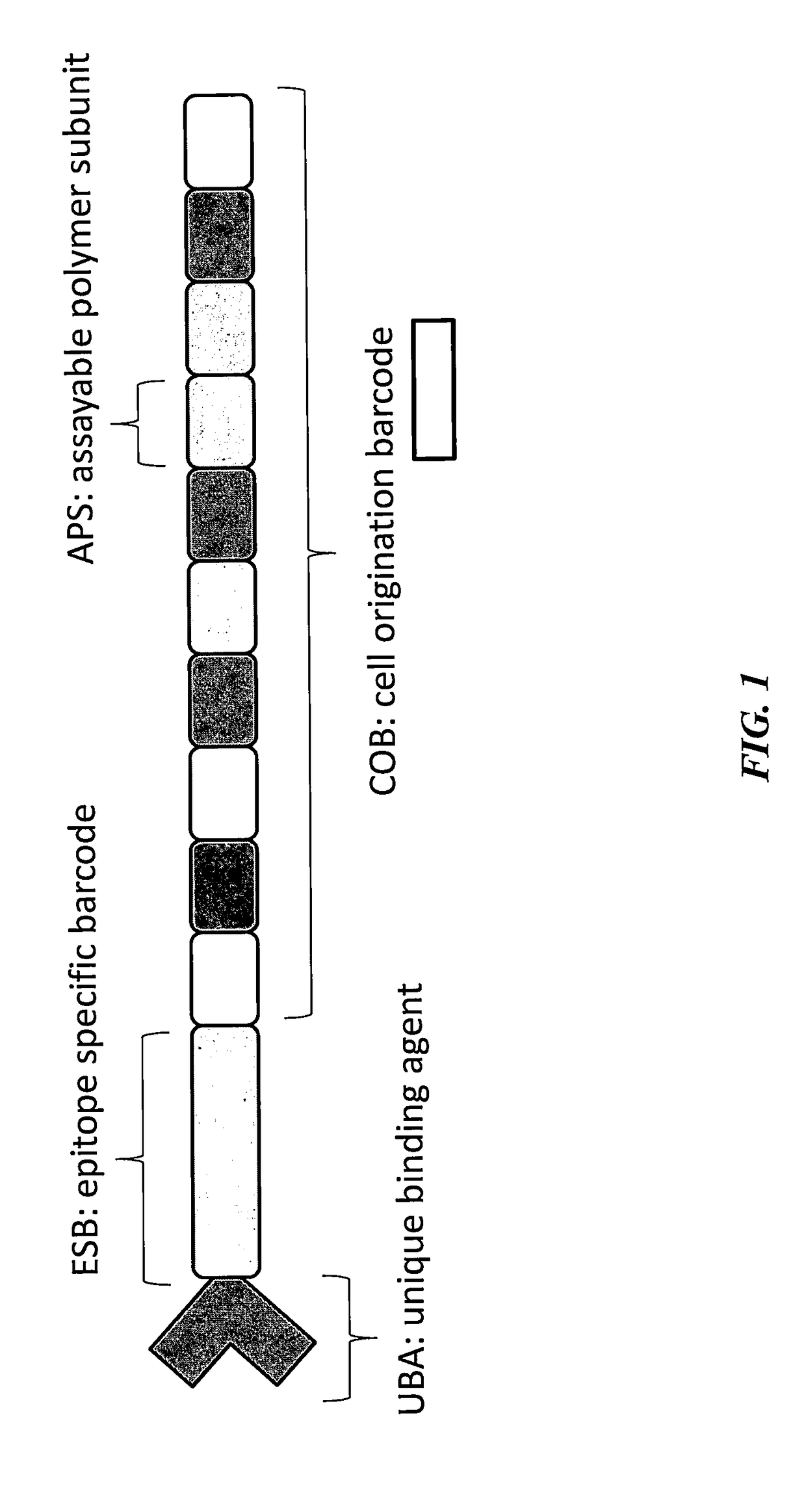 Methods for identifying multiple epitopes in selected sub-populations of cells