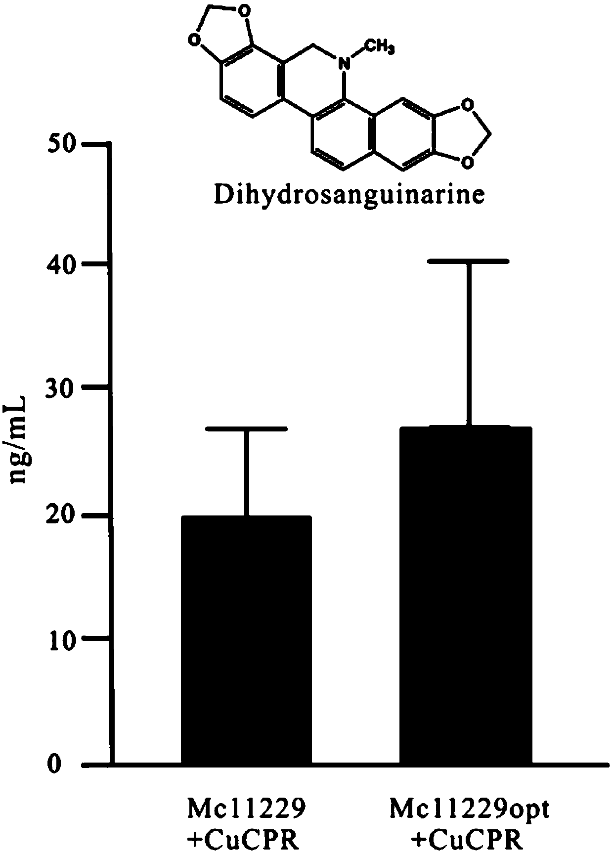 Macleaya cordata protopine-6-hydroxylase gene optimization sequence and application thereof