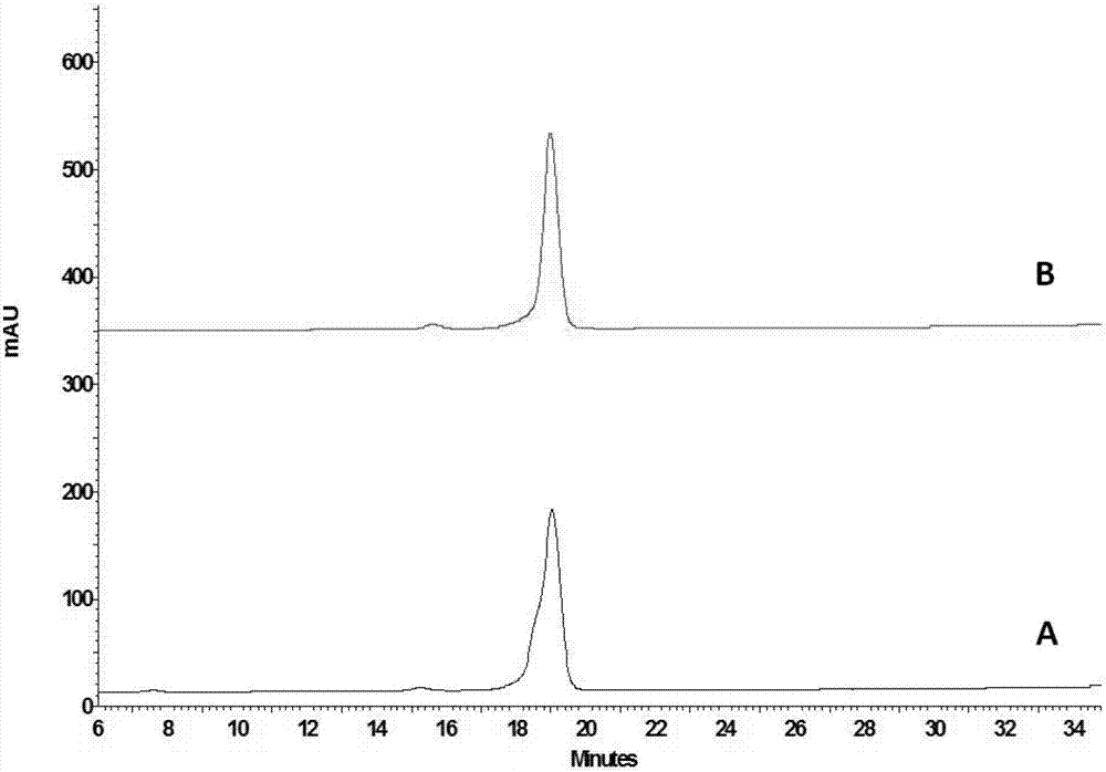 Uridine-5'-diphosphate galactose epimerase derived from ornithogalum caudatum, nucleotide sequence of uridine-5'-diphosphate galactose epimerase and application