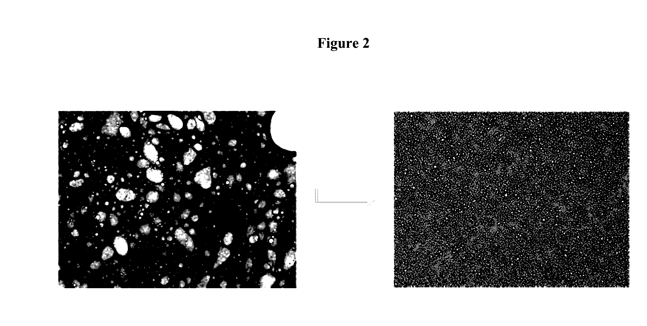 Topical pharmaceutical compositions