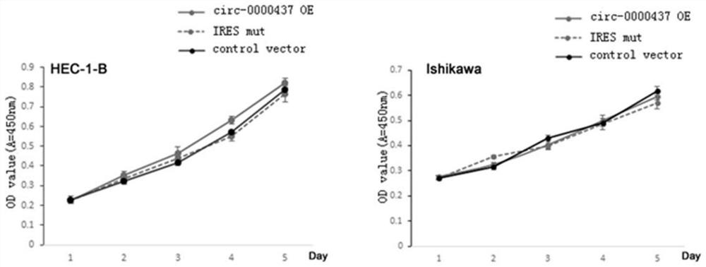 A kind of micropeptide and medicine for treating cancer