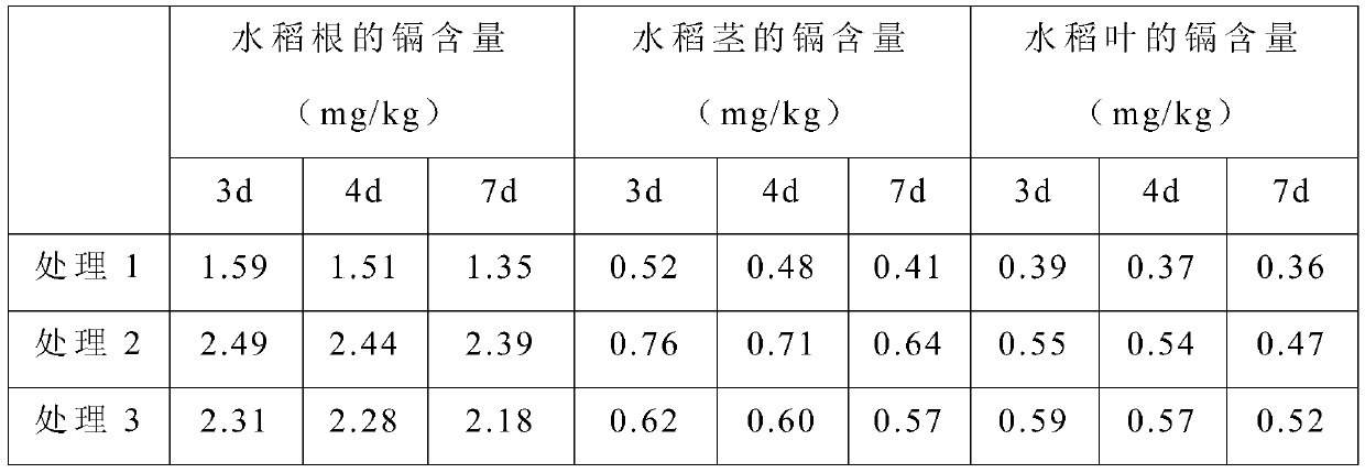 Microorganism microbial agent for promoting growth of rice and reducing cadmium and preparation method and use method of microorganism microbial agent