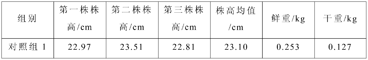 Microorganism microbial agent for promoting growth of rice and reducing cadmium and preparation method and use method of microorganism microbial agent